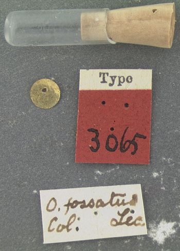 Media type: image;   Entomology 3065 Aspect: labels